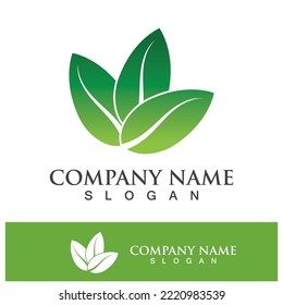 Green tree leaf nature logo images illustration design