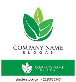 Green tree leaf nature logo images illustration design