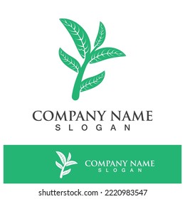 Green tree leaf nature logo images illustration design
