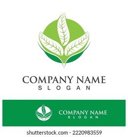 Green tree leaf nature logo images illustration design