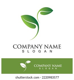 Diseño de imágenes del logotipo de la naturaleza de la hoja de árbol verde