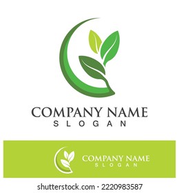 Green tree leaf nature logo images illustration design