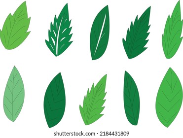 green tree leaf vecto iconable