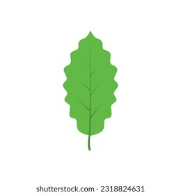 Green tree leaf vector illustration isolated on transparent background