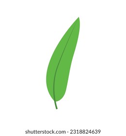 Green tree leaf vector illustration isolated on transparent background