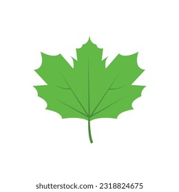 Green tree leaf vector illustration isolated on transparent background