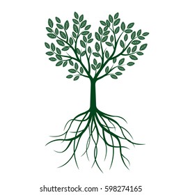 Green Tree with Leafs and roots. Vector Illustration.