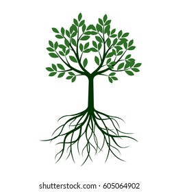 Green Tree with Leafs and roots. Vector Illustration.