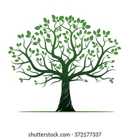 Green Tree and Leafs. Vector Illustration.