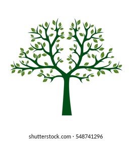 Green Tree with Leafs. Vector Illustration.