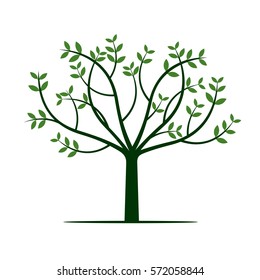 Green Tree and Leafs. Vector Illustration.