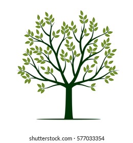 Green Tree with Leafs. Vector Illustration.