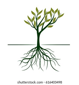 Green Tree with Leafs. Vector Illustration.