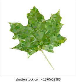 Green tree leave low poly vector illustration isolated on white background.
