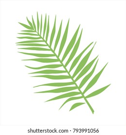 green tree leaves 