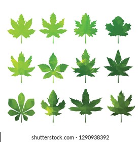 Green tree leaves abstract isolated on white