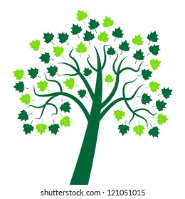 Green tree. With leaves and branches. As for the Conservation of Nature.
