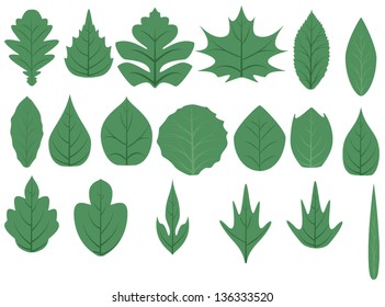 Green tree leaves, EPS8 - vector graphics.
