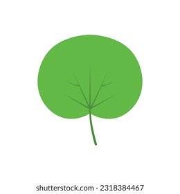 Green tree leaves. Leaves of oak , aspen, linden, maple, chestnut, clover, and plants.