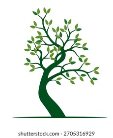 Green Tree, leaves on branches.  Outline Illustration. A tree drawn by hand. 