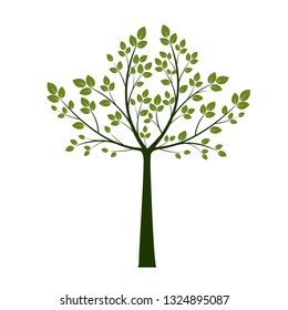 Green Tree with leaves on white background. Vector Illustration.