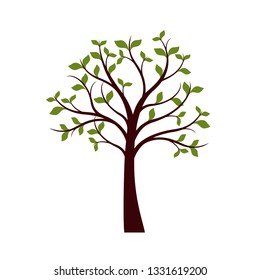 Green Tree with leaves on white background. Vector Illustration.