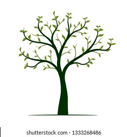 Green Tree with leaves on white background. Vector Illustration.