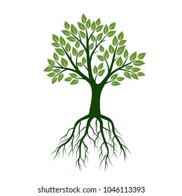 Green Tree with Leaves and Roots. Floral style. Vector Illustration and graphic design.