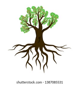 Green tree with leaves and roots isolated on white background, Natural tree logo inspiration, tree element and design decoration vector illustration eps 10 