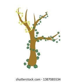 Green tree with leaves and roots isolated on white background, Natural tree logo inspiration, tree element and design decoration vector illustration eps 10 