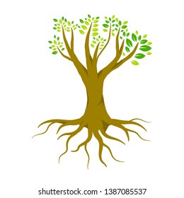 Green tree with leaves and roots isolated on white background, Natural tree logo inspiration, tree element and design decoration vector illustration eps 10 