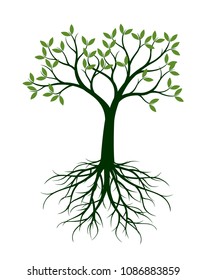 Green Tree with Leaves and Roots. Vector Illustration and graphic element.