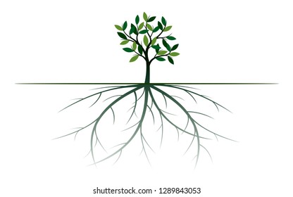 Green Tree with Leaves and Roots. Vector Illustration. Plant and Garden.