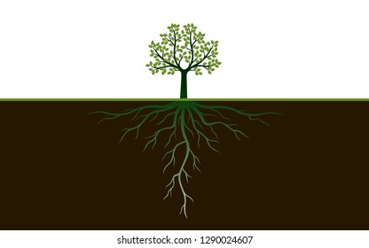 Green Tree with Leaves and Roots. Vector Illustration. Plant and Garden.