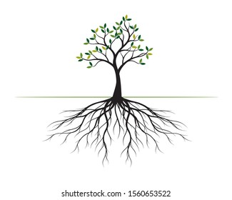 Green Tree with Leaves and Roots. Vector outline Illustration. Plant in Garden.