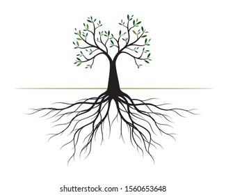 Green Tree with Leaves and Roots. Vector outline Illustration. Plant in Garden.