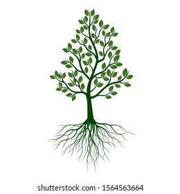 Green Tree with Leaves and Roots. Vector outline Illustration. Plant in Garden.