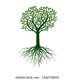 Green Tree with Leaves and Roots. Vector outline Illustration. Plant in Garden.