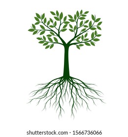 Green Tree with Leaves and Roots. Vector outline Illustration. Plant in Garden.