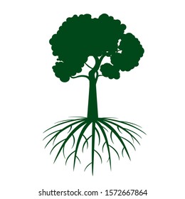 Green Tree with Leaves and Roots. Vector outline Illustration. Plant in Garden.