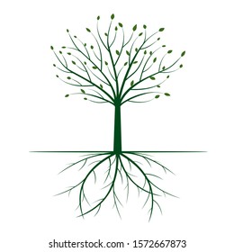 Green Tree with Leaves and Roots. Vector outline Illustration. Plant in Garden.