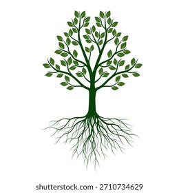 Green Tree with Leaves and Roots. Vector outline Illustration. Plant in Garden.