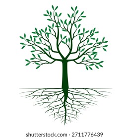 Green Tree with Leaves and Roots. Vector outline Illustration. Plant in Garden.