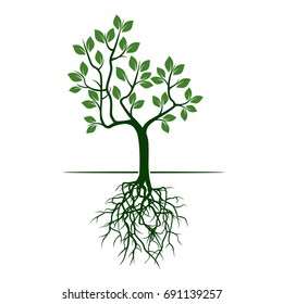 Green Tree with Leaves and Roots. Vector Illustration.