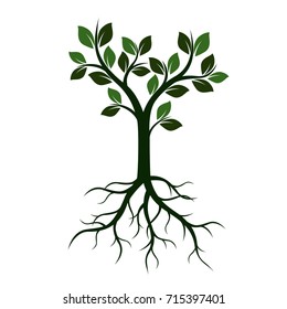 Green Tree with Leaves and Roots. Vector Illustration.