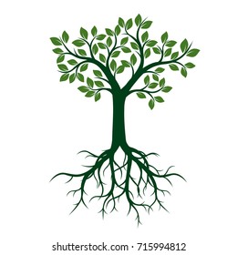 Green Tree with Leaves and Roots. Vector Illustration.