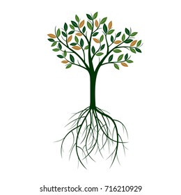 Green Tree with Leaves and Roots. Vector Illustration.