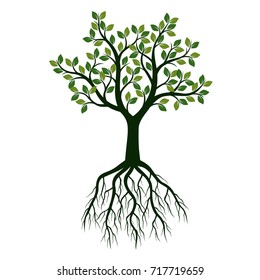 Green Tree with Leaves and Roots. Vector Illustration.