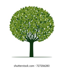 Green Tree with Leaves and Roots. Vector Illustration.