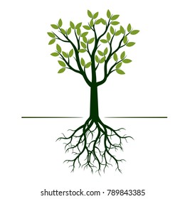 Green Tree with Leaves and Roots. Vector Illustration.